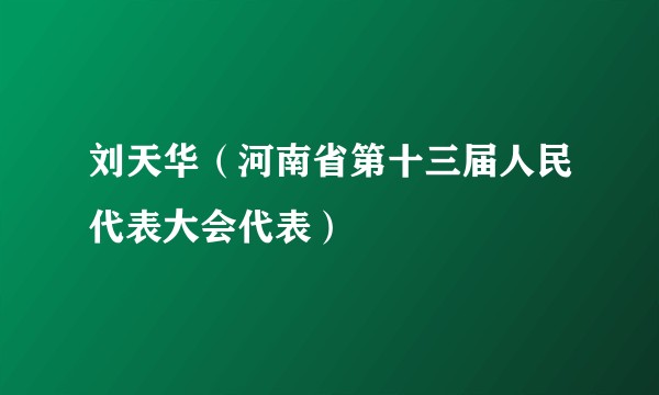 刘天华（河南省第十三届人民代表大会代表）