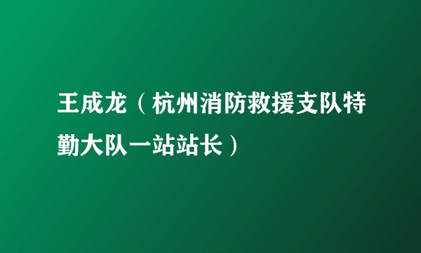 王成龙(杭州消防救援支队特勤大队一站站长)
