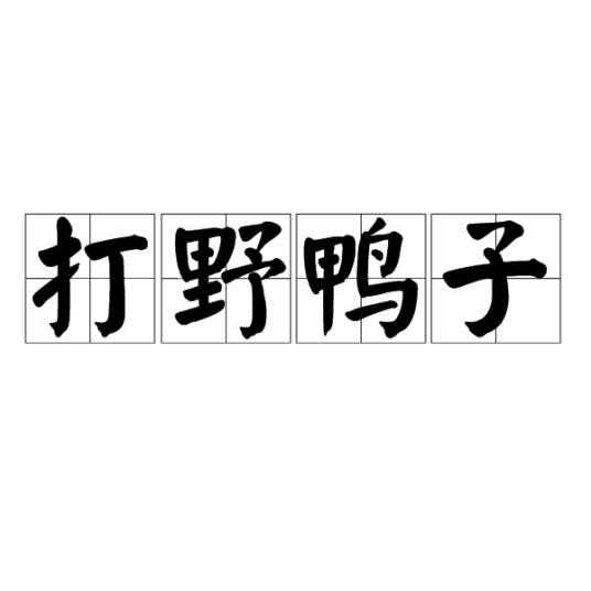 打野鸭子