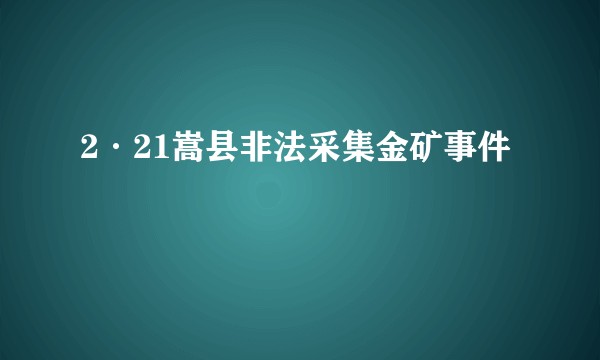 2·21嵩县非法采集金矿事件