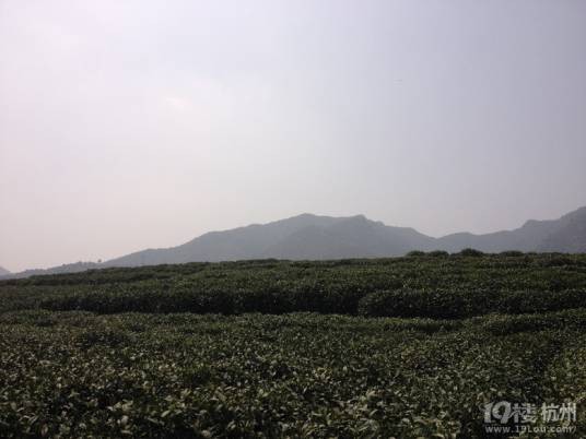 何家村（陕西省西安市碑林区何家村）