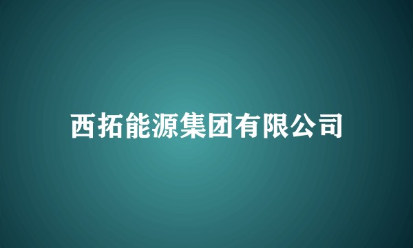 西拓能源集团有限公司
