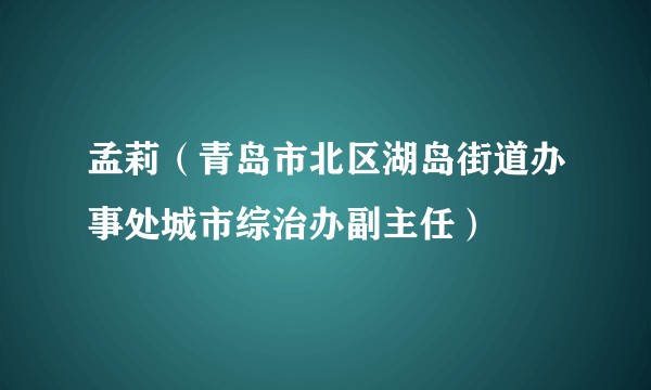 孟莉（青岛市北区湖岛街道办事处城市综治办副主任）