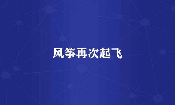 风筝再次起飞
