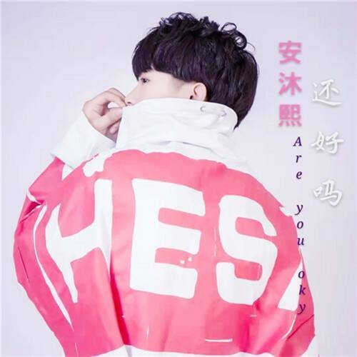 你还好吗（安沐熙演唱歌曲）