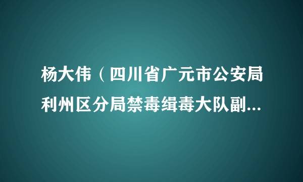 杨大伟（四川省广元市公安局利州区分局禁毒缉毒大队副大队长）