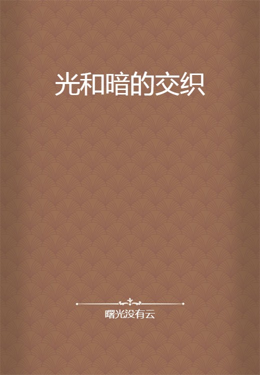 光和暗的交织