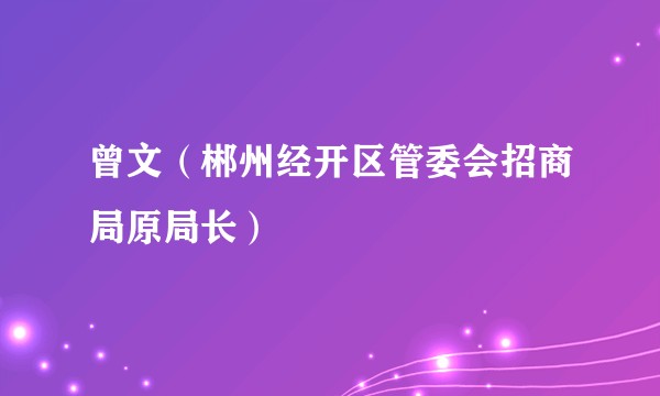 曾文（郴州经开区管委会招商局原局长）