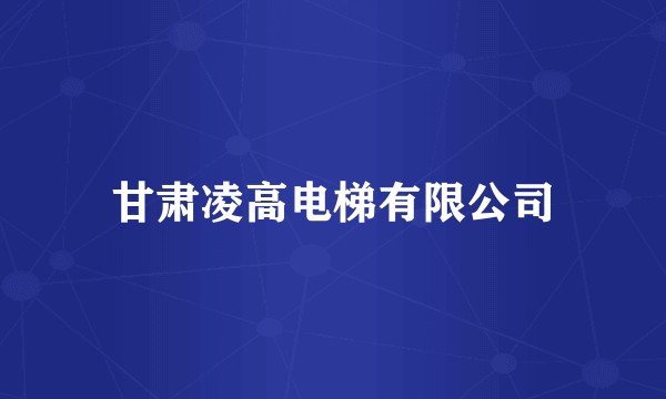 甘肃凌高电梯有限公司