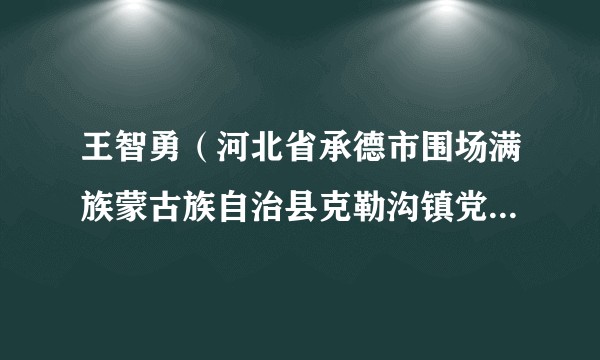 王智勇（河北省承德市围场满族蒙古族自治县克勒沟镇党委书记）