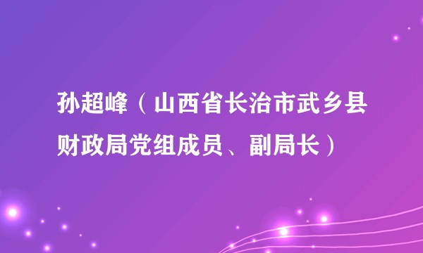 孙超峰（山西省长治市武乡县财政局党组成员、副局长）