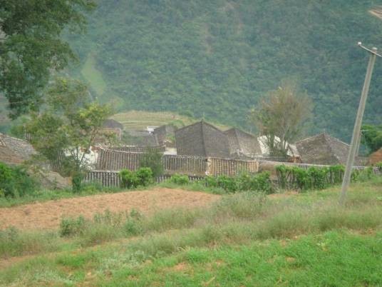 松树林村（云南红河州石屏县牛街镇下辖村）