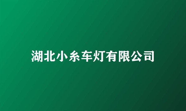湖北小糸车灯有限公司
