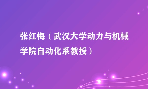 张红梅（武汉大学动力与机械学院自动化系教授）
