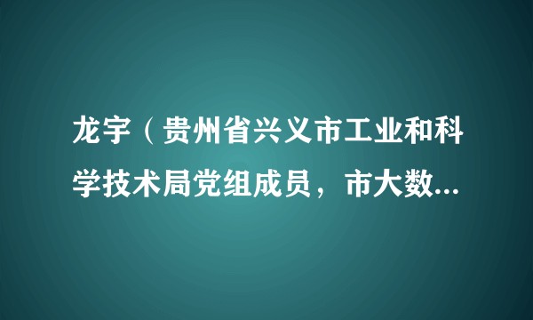 龙宇（贵州省兴义市工业和科学技术局党组成员，市大数据服务中心主任）
