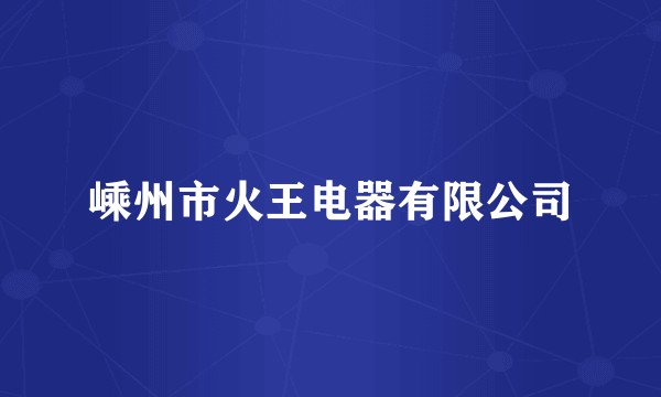 嵊州市火王电器有限公司
