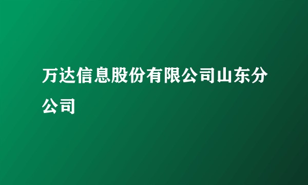 万达信息股份有限公司山东分公司
