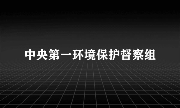 中央第一环境保护督察组