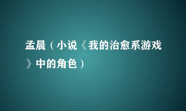 孟晨（小说《我的治愈系游戏》中的角色）