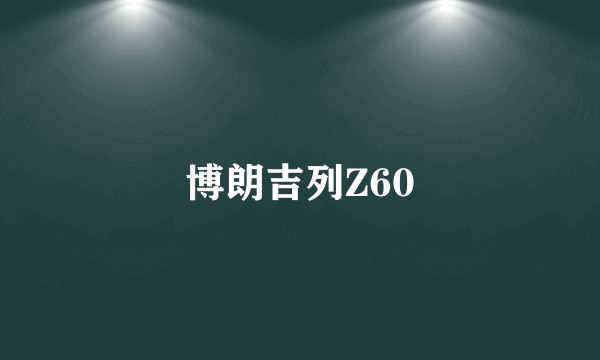 博朗吉列Z60