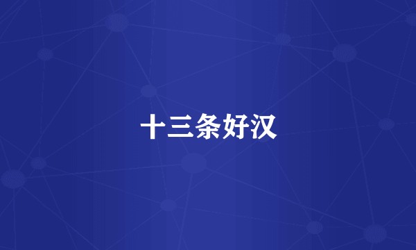 十三条好汉