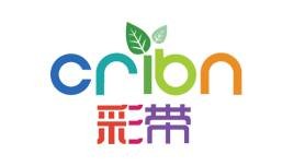 彩带网络