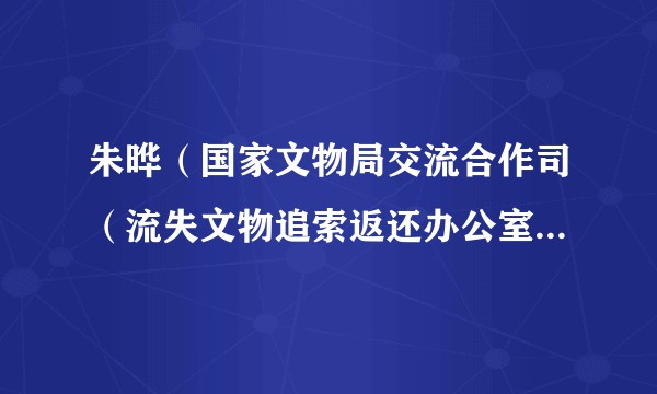 朱晔（国家文物局交流合作司（流失文物追索返还办公室）副司长（副主任）、二级巡视员）