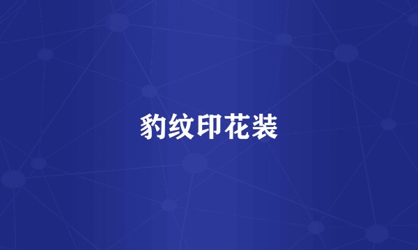 豹纹印花装