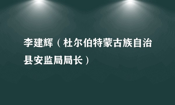 李建辉（杜尔伯特蒙古族自治县安监局局长）