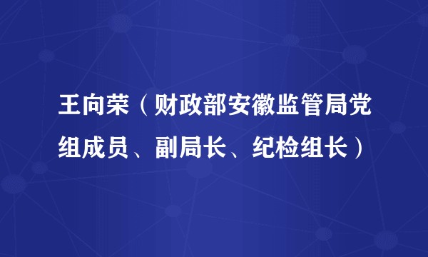 王向荣（财政部安徽监管局党组成员、副局长、纪检组长）