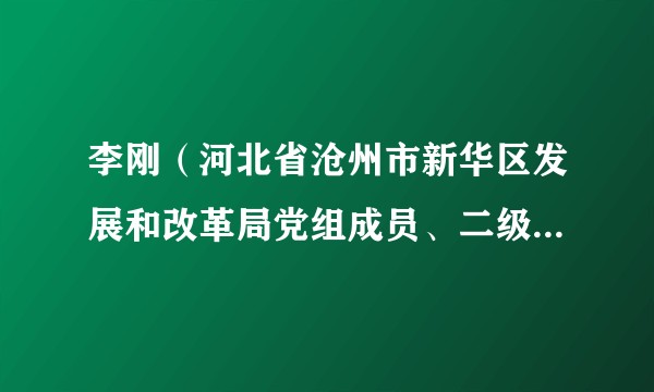 李刚（河北省沧州市新华区发展和改革局党组成员、二级主任科员）
