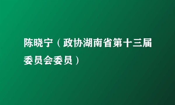 陈晓宁（政协湖南省第十三届委员会委员）