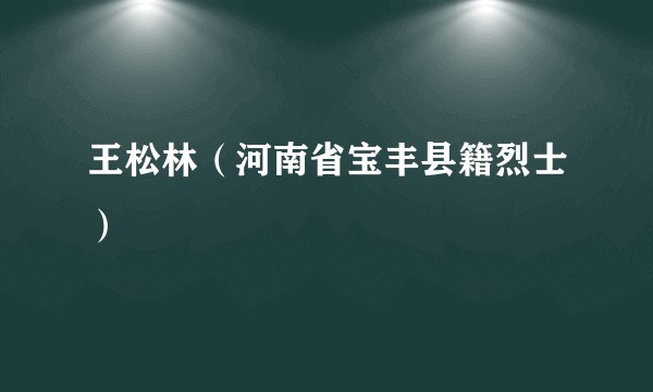 王松林（河南省宝丰县籍烈士）
