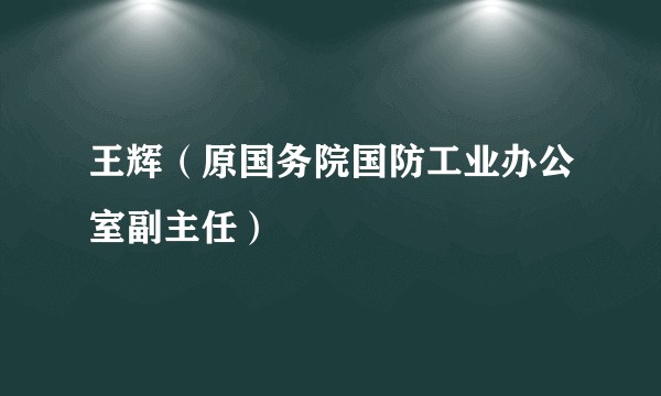 王辉（原国务院国防工业办公室副主任）