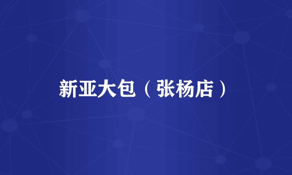新亚大包（张杨店）
