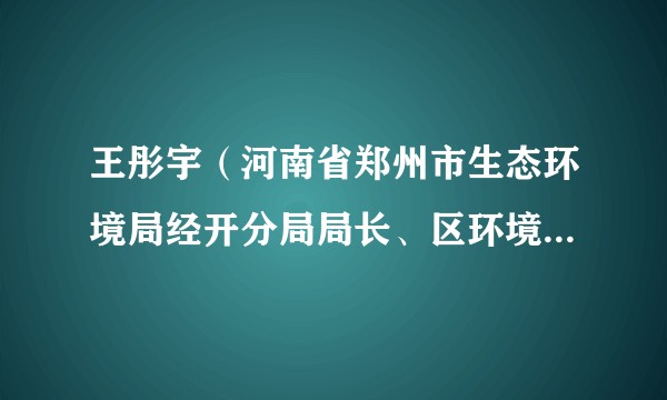 王彤宇（河南省郑州市生态环境局经开分局局长、区环境攻坚办副主任）