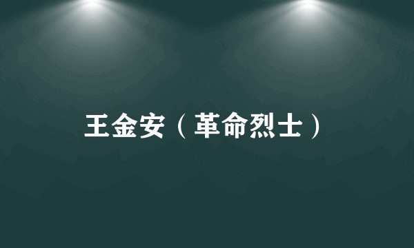 王金安（革命烈士）