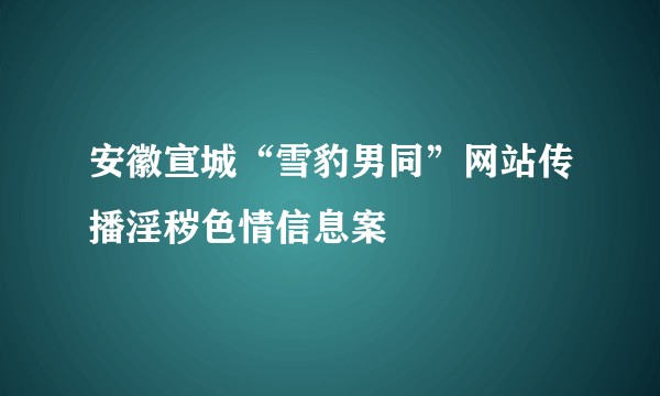 安徽宣城“雪豹男同”网站传播淫秽色情信息案