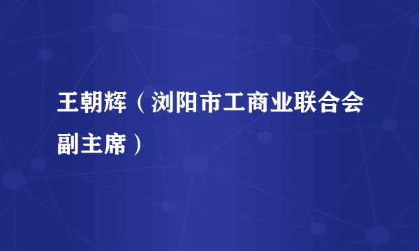 王朝辉（浏阳市工商业联合会副主席）