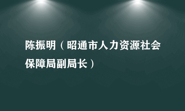 陈振明（昭通市人力资源社会保障局副局长）