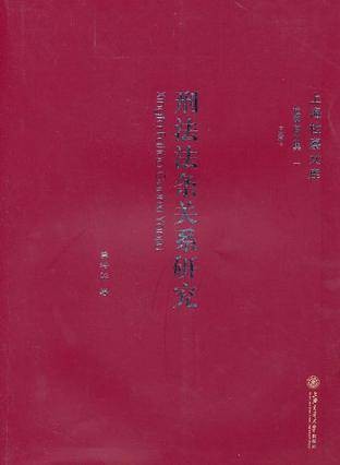刑法法条关系研究