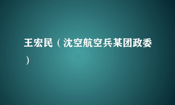 王宏民（沈空航空兵某团政委）
