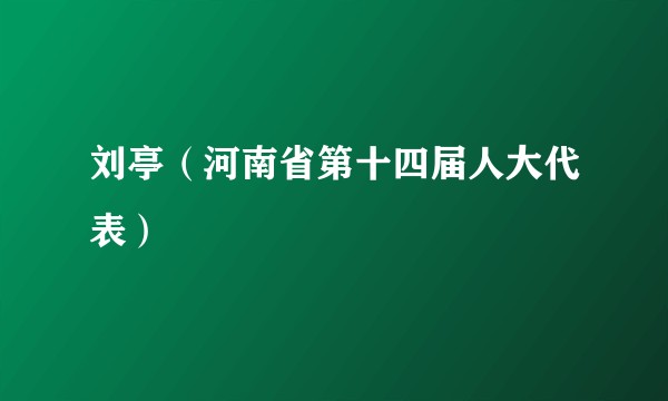 刘亭（河南省第十四届人大代表）
