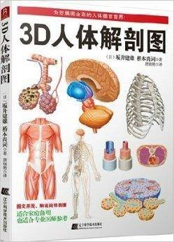 3D人体解剖图大胆形象的简明图解