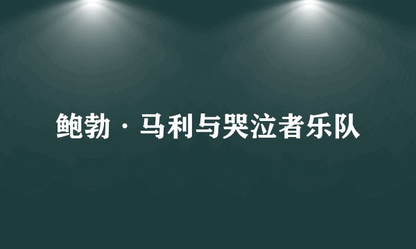 鲍勃·马利与哭泣者乐队
