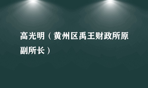 高光明（黄州区禹王财政所原副所长）