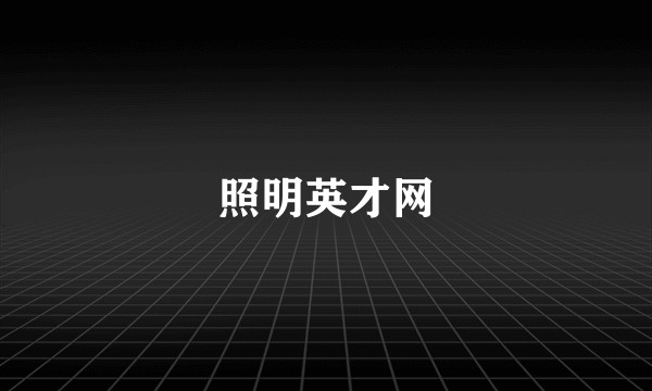 照明英才网