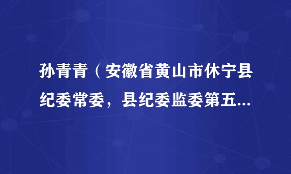 孙青青（安徽省黄山市休宁县纪委常委，县纪委监委第五纪检监察室主任）