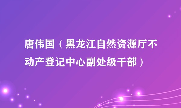 唐伟国（黑龙江自然资源厅不动产登记中心副处级干部）