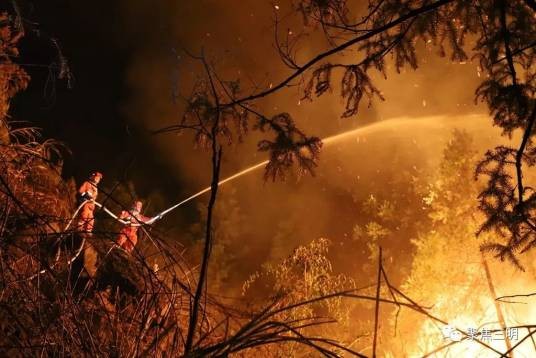 5·1大田森林火灾